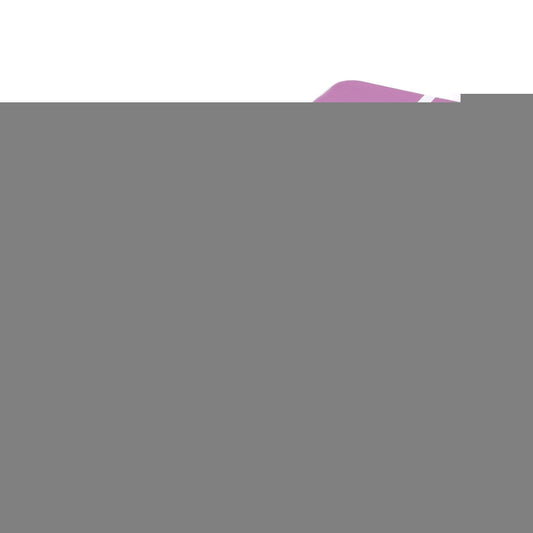 Everfit 3M Air Track Gymnastics Tumbling Exercise Yoga Mat W/ Pump Inflatable Purple
