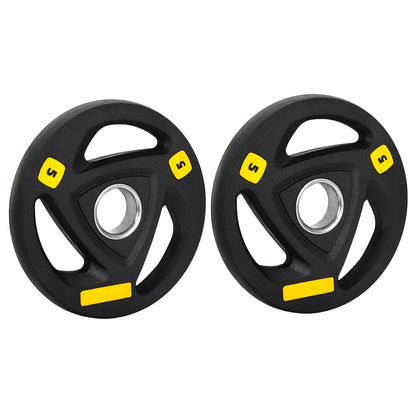 Everfit Weight Plates Olympic 5kgx2 Dumbbells Barbells Plate Weight Lifting Home