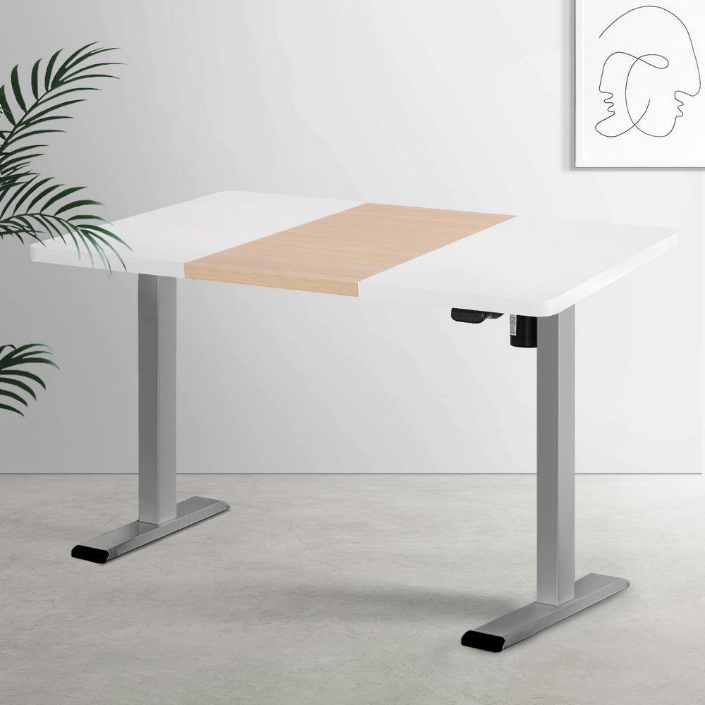 Artiss Standing Desk Electric Sit Stand Desks 120CM