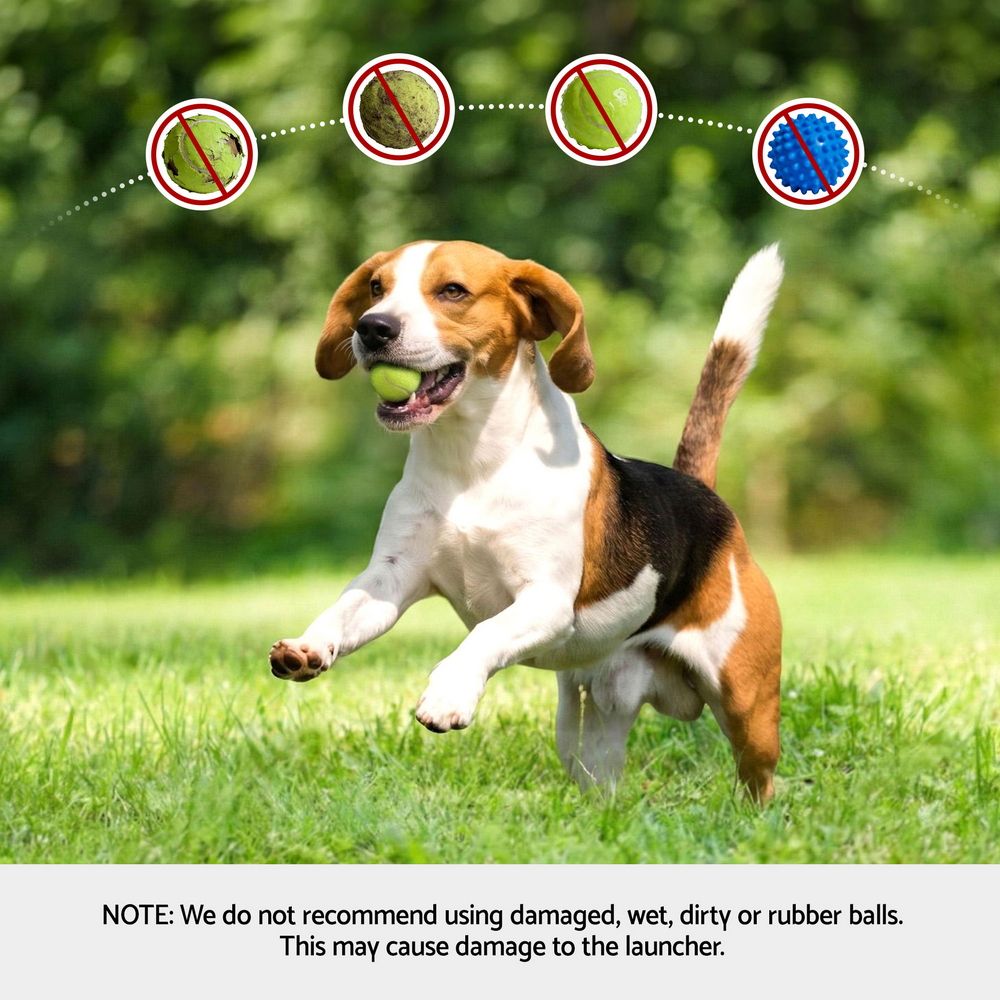 i.Pet 2-in-1 Interactive Dog Treat Dispenser Toy with 2 Balls Green