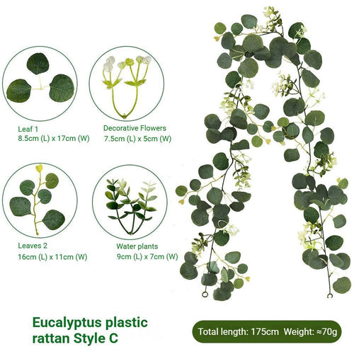 Eucalyptus Rattan - 36 Heads-C