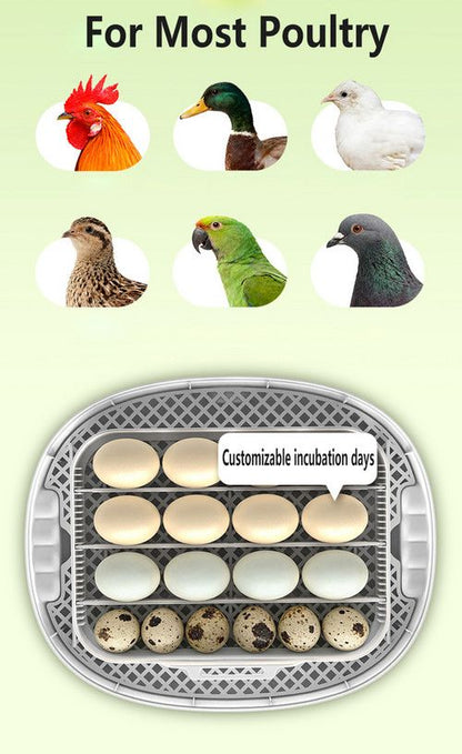 Automatic Egg Incubator 16-30 Eggs Chicken Duck Poultry Hatcher Breeder Candler